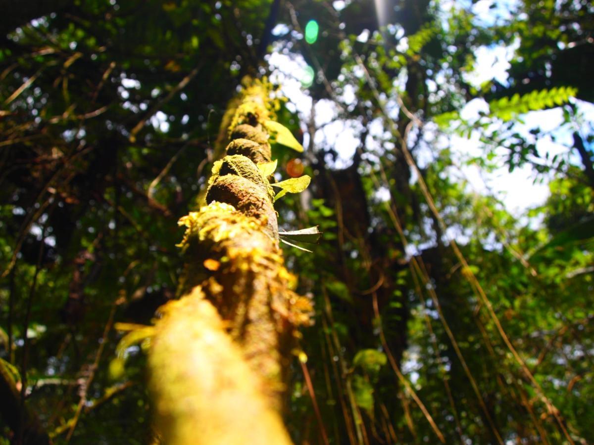 Casa En Santuario Natural En La Amazonia Villa Veracruz  Bagian luar foto