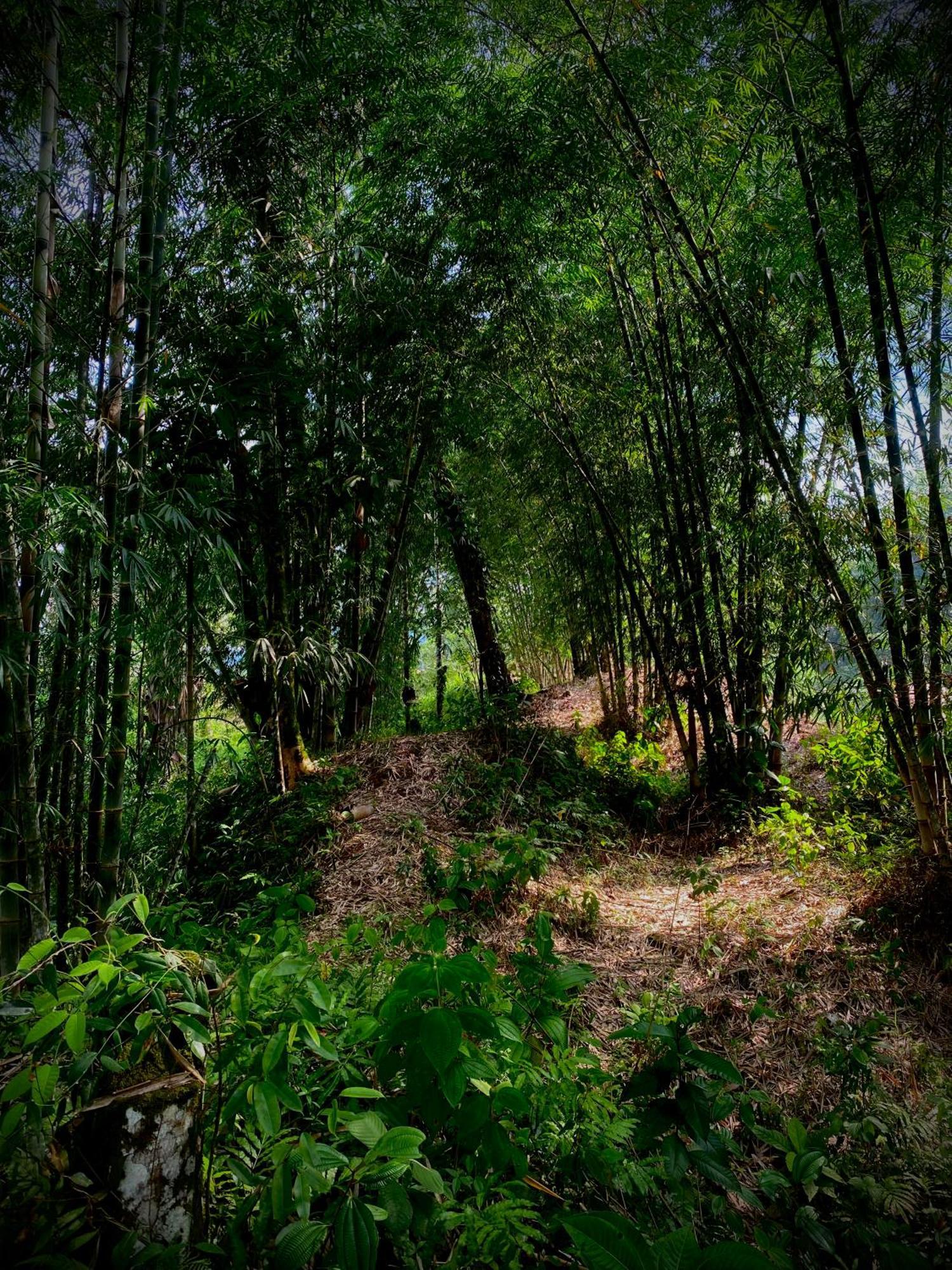 Casa En Santuario Natural En La Amazonia Villa Veracruz  Bagian luar foto